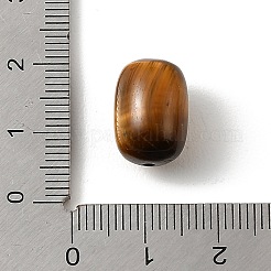 Natürlichen Tigerauge Perlen&nbsp;KK-D262-01G-03