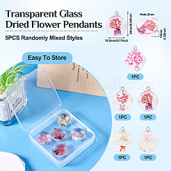 5pcs transparente Glasanhänger&nbsp;GLAA-TA0002-83