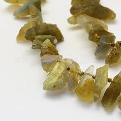 Perline labradorite naturale fili&nbsp;G-K202-11A