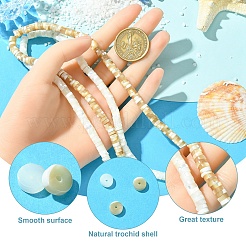 1 нить натуральных бусин из ракушек трохид/трохус&nbsp;SSHEL-YW0001-12A