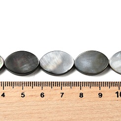Natur schwarz Lippe Shell Perlen Stränge&nbsp;BSHE-D300-02-13x18mm