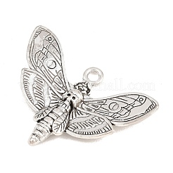 Halloween pendentifs en alliage de style tibétain&nbsp;FIND-B066-01A-AS