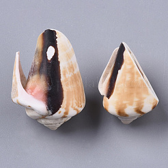 Натуральные спиральные бусы из ракушек SSHEL-S258-82