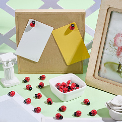 30 шт. пластиковые кнопки для рисования божьих коровок&nbsp;AJEW-SC00067