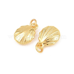 Charms in ottone&nbsp;KK-F927-14A-G