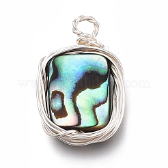 Подвески из натурального ушка / ракушки PALLOY-JF00477-04