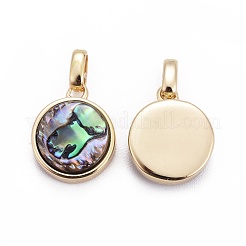 Natürliche Abalone Muschel / Paua Muschel Anhänger&nbsp;BSHE-F011-02B-G