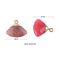 12 шт. 6 стильные гальванические подвески из натуральных драгоценных камней&nbsp;G-LS0002-01