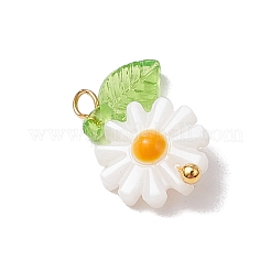 4 шт. 4 стиля подвески из натуральной пресноводной ракушки с эмалью PALLOY-JF03480