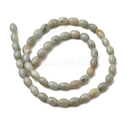 Натуральный цветок амазонитовые бусины пряди G-K362-I10-02