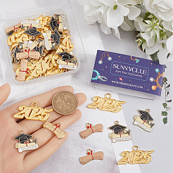 60 шт. 3 стиля подвески из сплава для выпускного сезона FIND-SC0013-17