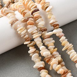 Нити бусин из натуральных ракушек BSHE-G029-01B