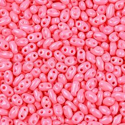 Perles de rocaille en verre&nbsp;SEED-T006-03P