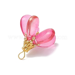 Окрашенные стеклянные подвески PALLOY-MZ00658-03