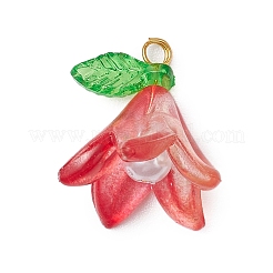 20шт акриловые подвески PALLOY-JF03110-03