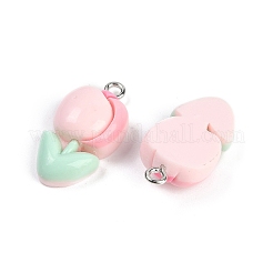 Подвески из смолы&nbsp;LS-RESI-I061-04A