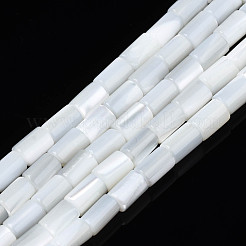 天然淡水シェルビーズ連売り  染め  コラム  ミックスカラー  4~5x3~3.5mm  穴：0.9mm  約77~78個/連  15.55インチ〜15.75インチ（39.5~40cm）&nbsp;SHEL-N003-26