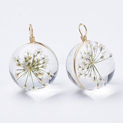 Стеклянные подвески X-GLAA-Q070-002B-01