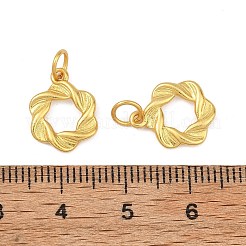 Breloques en laiton&nbsp;KK-F941-33A-G