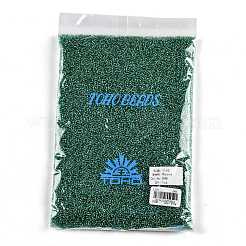 Cuentas redondas toho 11/0&nbsp;SEED-TR11-0024B