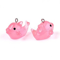 Подвески из светящейся полупрозрачной смолы&nbsp;LS-RESI-SZC0004-08A