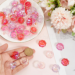 60 шт. 4-цветные акриловые колпачки для бусин с УФ-покрытием&nbsp;PACR-PA0001-12A