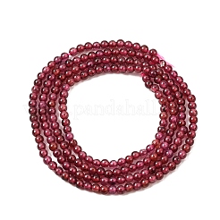 Granato naturale perline fili&nbsp;G-N0213-04-2mm