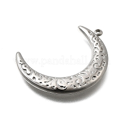 Pendentifs en acier inoxydable 304&nbsp;STAS-Z163-09P