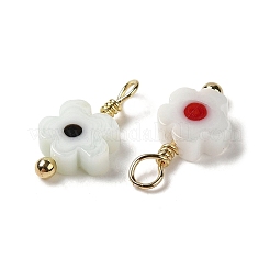 Стеклянные подвески KK-P242-13G