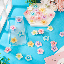 30шт 6 цвета прозрачные кабошоны из смолы&nbsp;RESI-TA0004-45