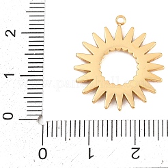 Colgantes de rhinestone de acero inoxidable 304&nbsp;STAS-D264-05G
