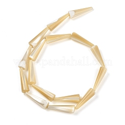 Нити бусин из натуральной ракушки трохус BSHE-G036-04