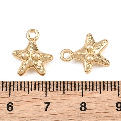 Pendentif en alliage &nbsp;AL-CBA83D5-04G