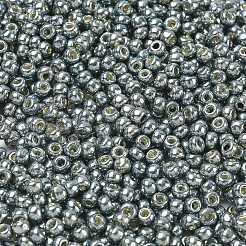 トーホー 6/0ラウンドビーズ  日本製シードビーズ  （pf565)パーマフィニッシュシルバーグレーメタリック  4mm  穴：1.5mm  約7570個/ポンド&nbsp;SEED-TR06-PF0565