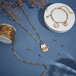 DIY-Sets zur Herstellung von Halsketten/Armbändern&nbsp;DIY-SP0006-62G