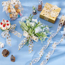 2 рулон 2-х видов печатных лент из органзы SRIB-PH0001-29