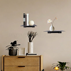3 ensemble de 3 supports muraux de rangement en acier au carbone pour mini-plantes&nbsp;ODIS-GL0001-12B