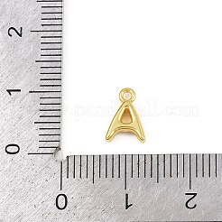Anhänger aus 304 Edelstahl&nbsp;SA-I352-02G