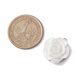 Подвески из нержавеющей стали 304 и непрозрачной смолы PALLOY-JF02772-04