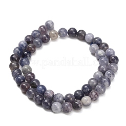 Perles naturelles Iolite brins&nbsp;X-G-G300-A04-8mm
