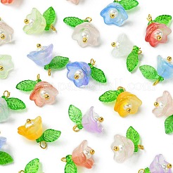 40шт стеклянный и пластиковый кулон&nbsp;PALLOY-FZ00012