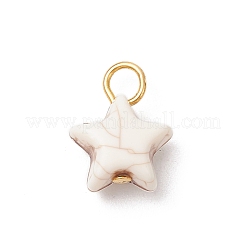 Хрустящие непрозрачные акриловые подвески&nbsp;PALLOY-JF03924-02