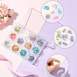 12 цвет ракушки чипсы украшения для ногтей аксессуары&nbsp;DIY-WH20002-669