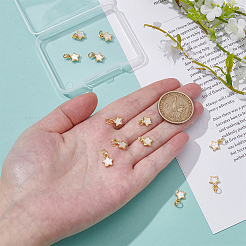 12 шт. Латунные подвески&nbsp;KK-ME0002-13