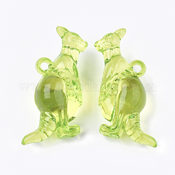 Прозрачные акриловые подвески TACR-S133-113