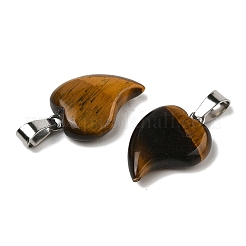 Природных тигровый глаз подвески G-B127-11P-06