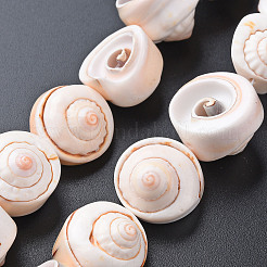 ナチュラルスパイラルシェルビーズ連売り  アンティークホワイト  15~18x8~15mm  穴：0.8mm  約11個/連  7.09インチ（18cm）&nbsp;X-SSHEL-N034-106