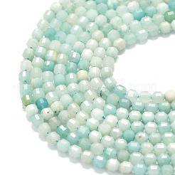 Натуральный цветок амазонитовые бусины пряди G-A260-A51-01