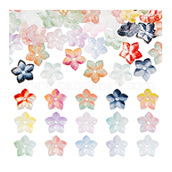 150 шт. 15-х цветные прозрачные бусины ручной работы в технике лэмпворк GLAA-PH0004-03