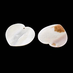 Естественных пресноводных оболочки большие кулоны SHEL-T020-51